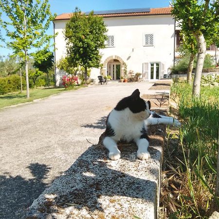 Le Piracante Caiazzo Exteriör bild