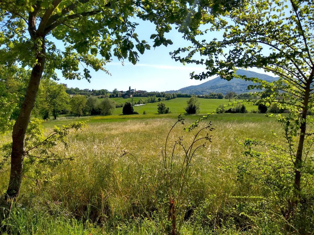 Le Piracante Caiazzo Exteriör bild