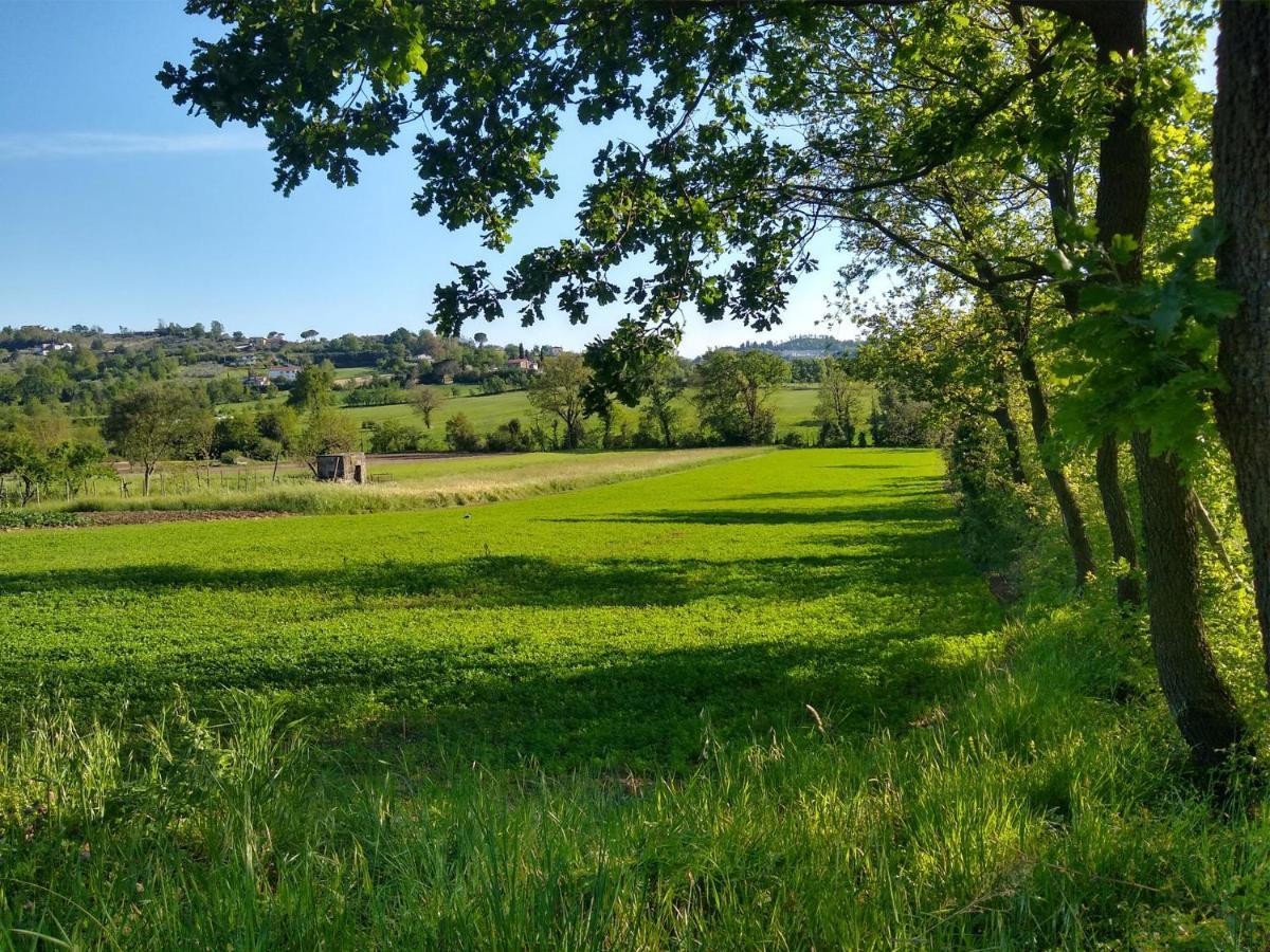 Le Piracante Caiazzo Exteriör bild