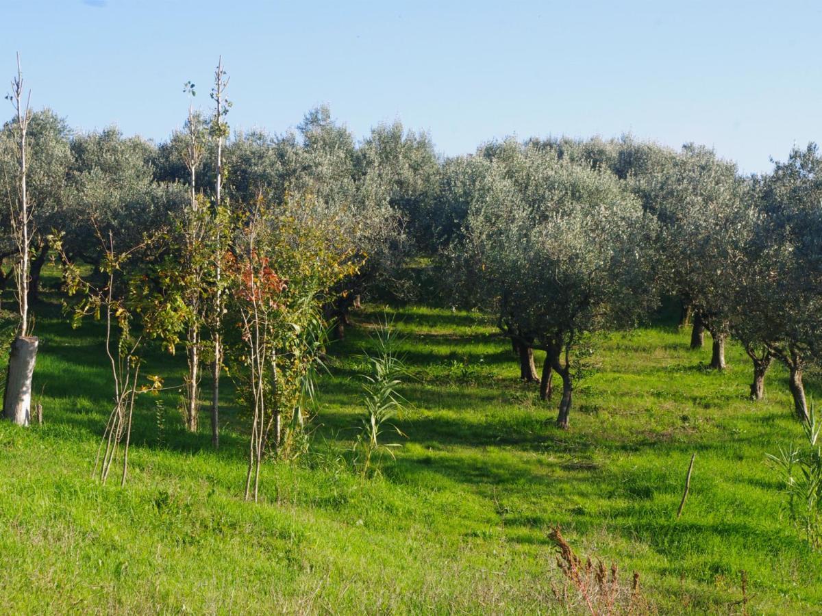 Le Piracante Caiazzo Exteriör bild