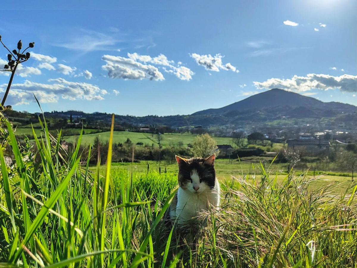 Le Piracante Caiazzo Exteriör bild